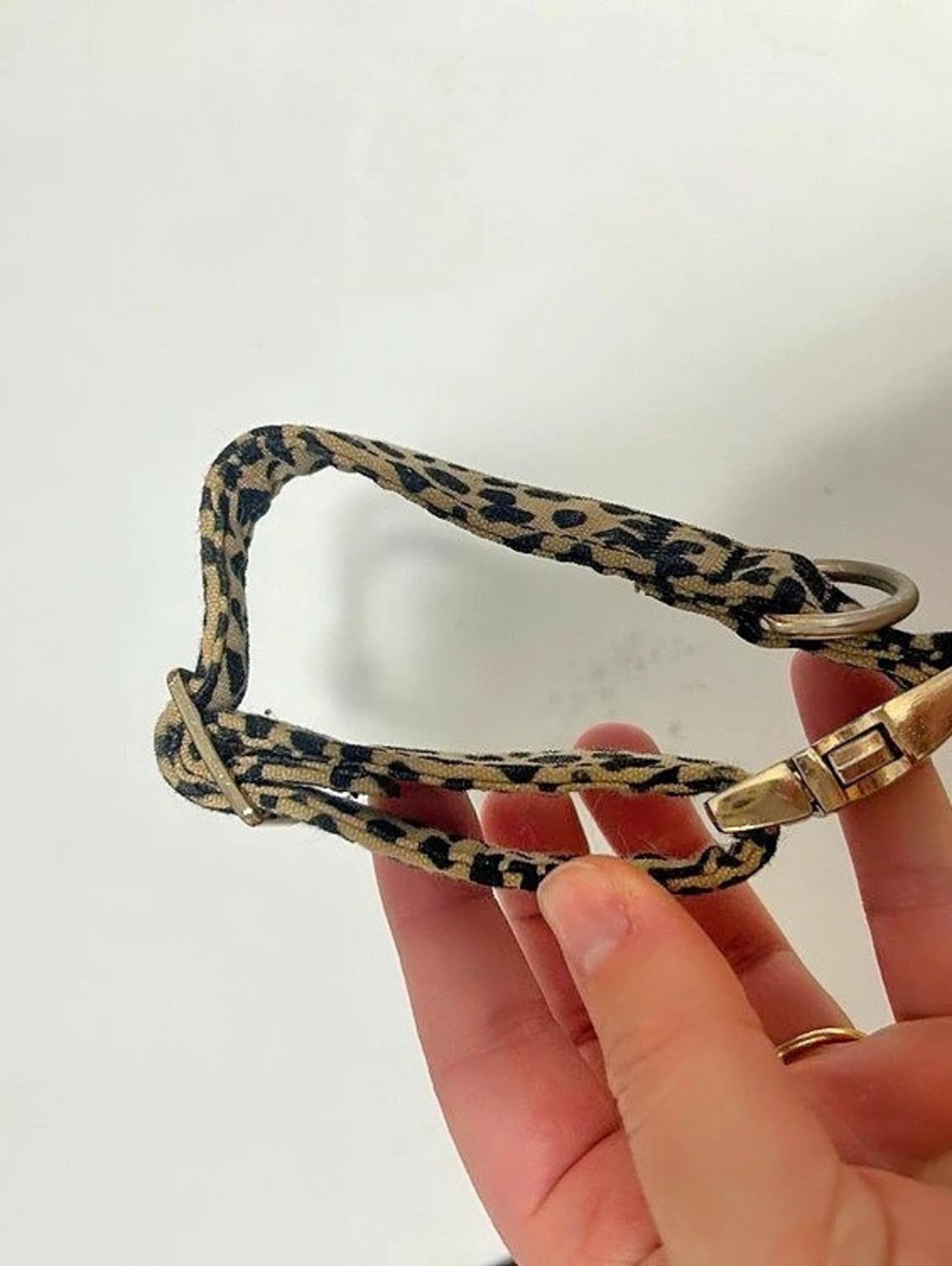 Leopard Print Dog Collar & Leash